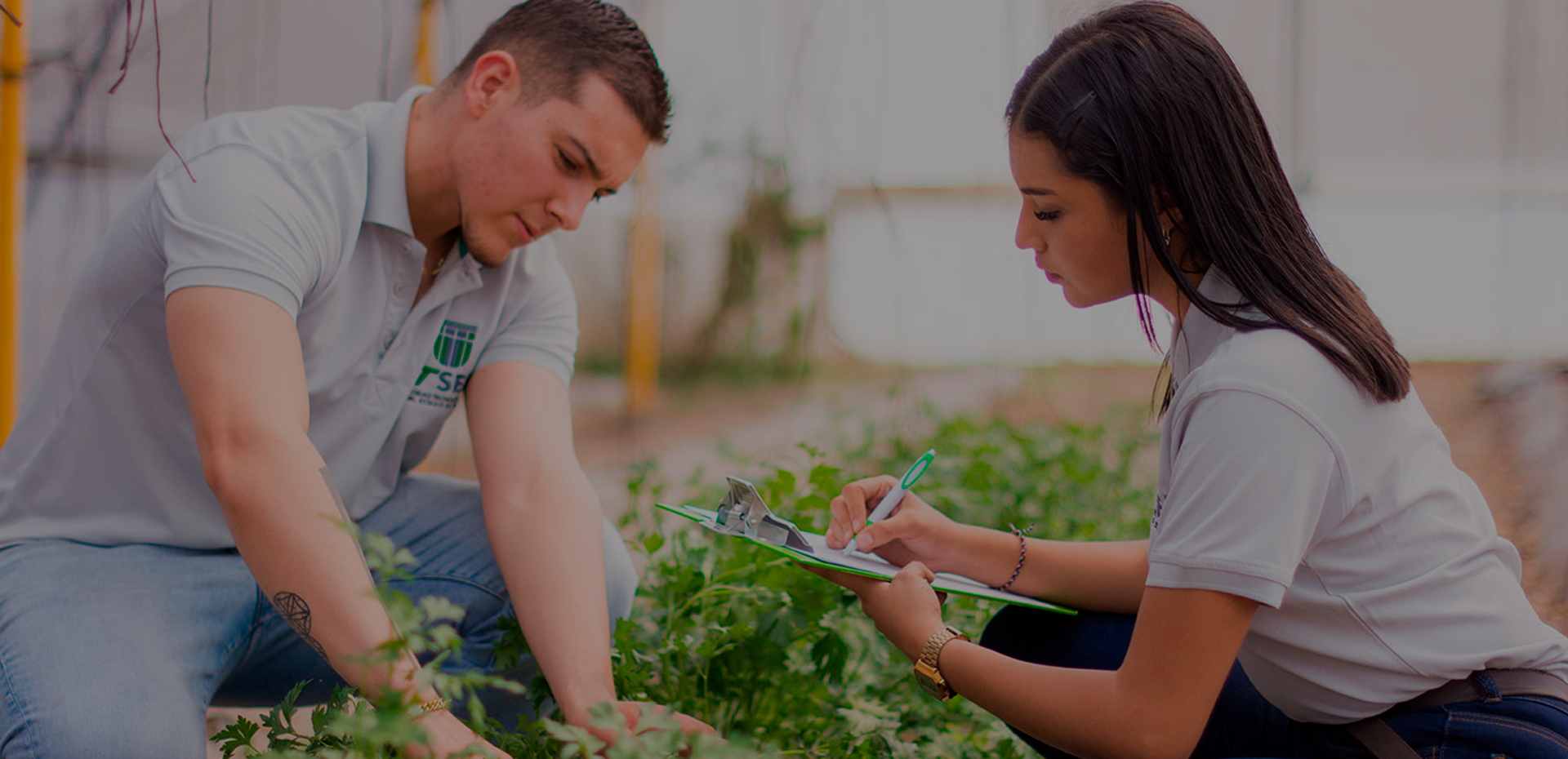 Ingeniería en Agricultura Sustentable y Protegida